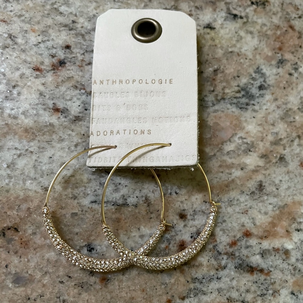 Brand New Anthropologie Lesley Hoop Earrings